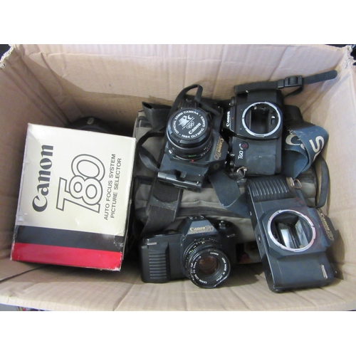Lot 9007      