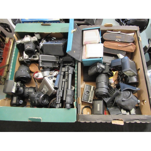 Lot 9025      