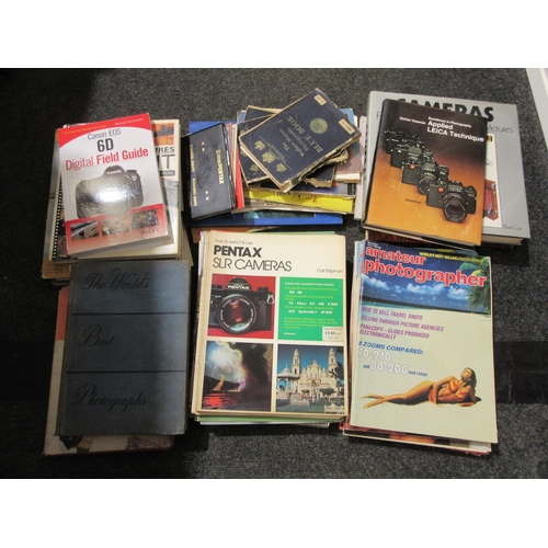 Lot 9031      