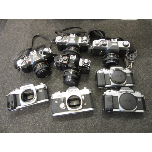 Lot 9038      