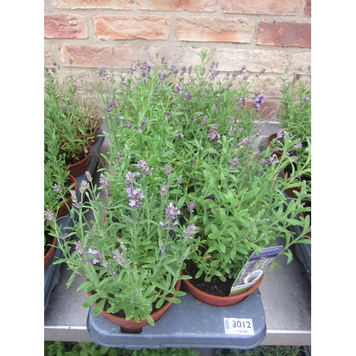 Lot 3012      