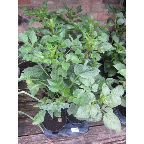 Lot 3048      