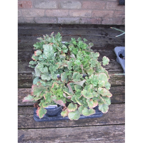 Lot 3050      