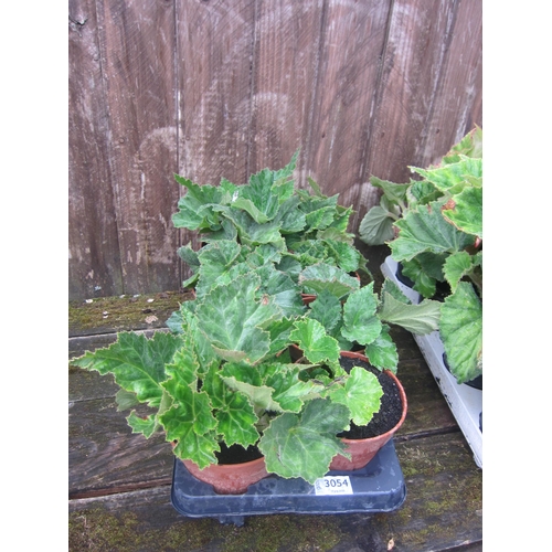 Lot 3054      