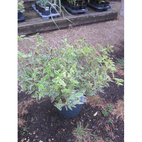 Lot 3060      