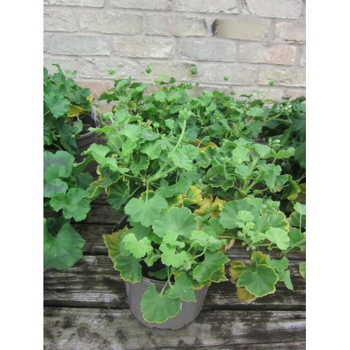 Lot 3001B     
