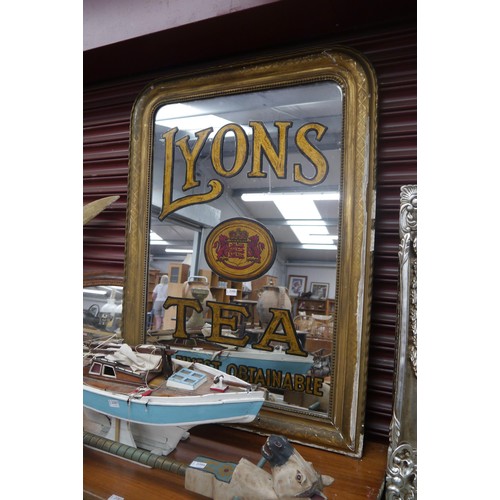 Lot 2049      