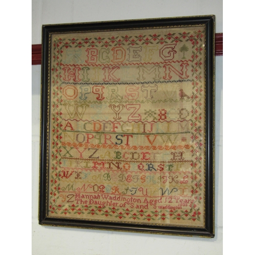 Lot 1019      