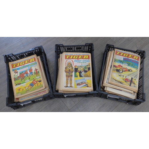 Lot 5058      
