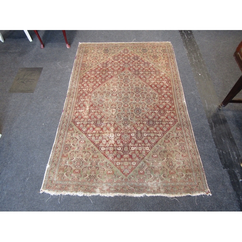Lot 1036      