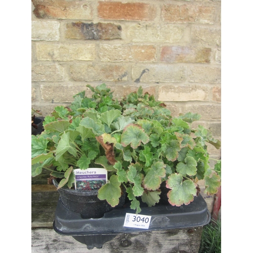 Lot 3040      