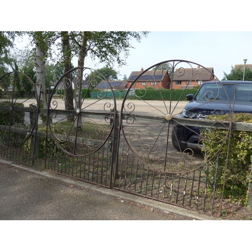 Lot 8001      