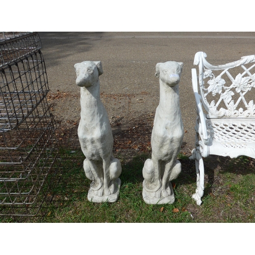 Lot 8010      