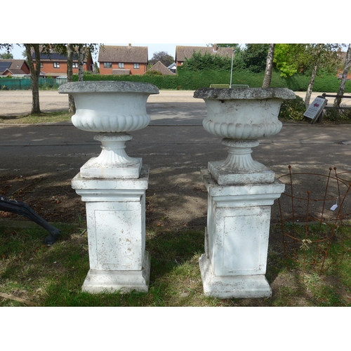 Lot 8028      