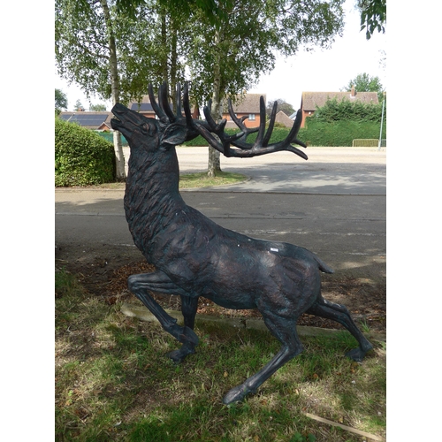 Lot 8029      