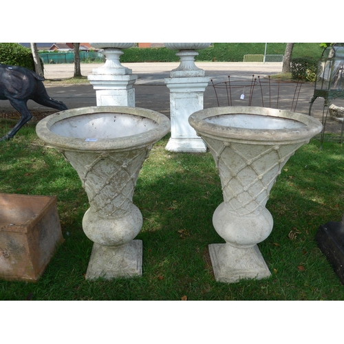 Lot 8040      