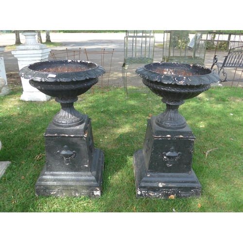 Lot 8041      