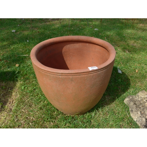 Lot 8043      