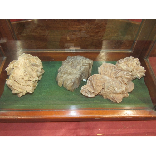 A display case including desert roses and petrified wood, 39cm wide ...