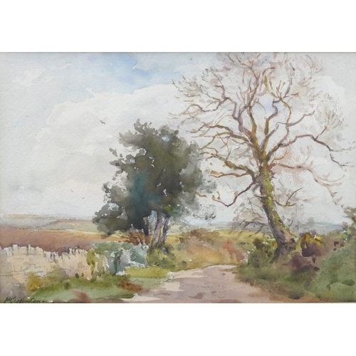 1060 - WILLIAM EGGINGTON (XIX/XX) A framed and glazed watercolour - 'A Devon Lane', Signed bottom left. J.L... 