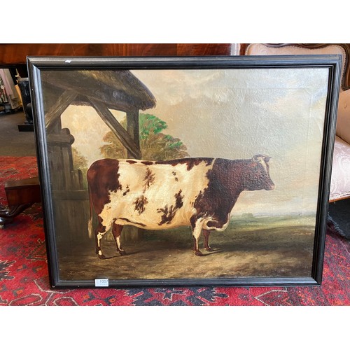 1007 - A 19th Century oil on canvas naïve study of a prize cow, unsigned, set in a later 20th Century frame... 
