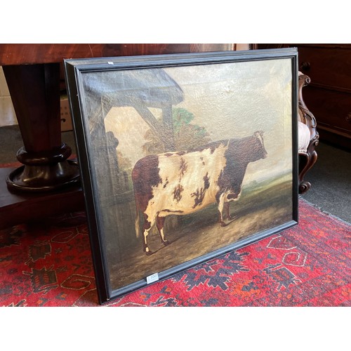 1007 - A 19th Century oil on canvas naïve study of a prize cow, unsigned, set in a later 20th Century frame... 