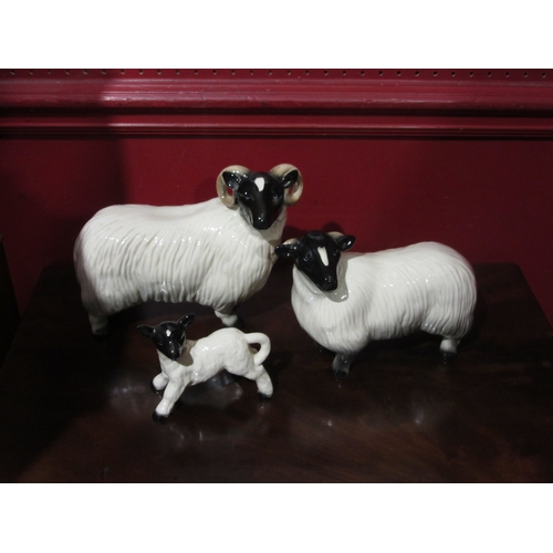 4053 - A pottery Ram, Sheep and lamb (3)