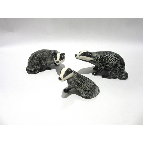 1851 - Three Beswick Badgers.  Male model no. 3393, Female 3394 and Badger Cub, model no. 3392