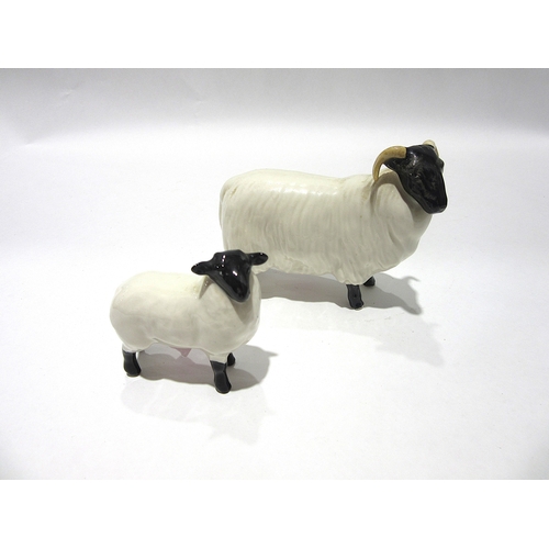 1853 - A Beswick Black-faced Sheep in gloss, model no. 1765 together with a Beswick Black-faced Lamb, model... 