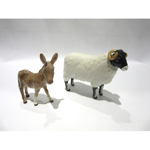 1854 - A Beswick Black-faced Ram in gloss together with a Beswick Donkey Foal in gloss, model no. 2110