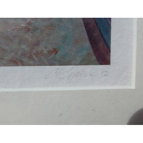 4048 - CHRIS CYPRUS (b.1971) A framed and glazed limited edition print titled 'Secret Garden'. Pencil signe... 