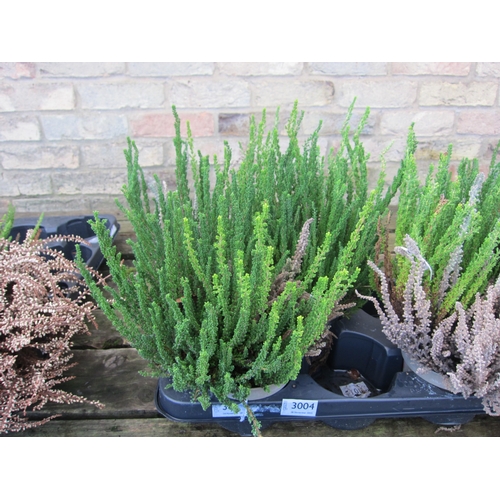 3004 - 3 Heathers