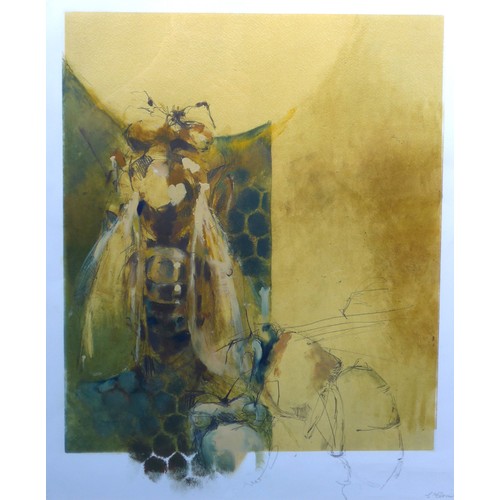 1027 - LOUISE ELVIN (XX/XXI): A framed and glazed layered monoprint with over paint and pencil, titled 