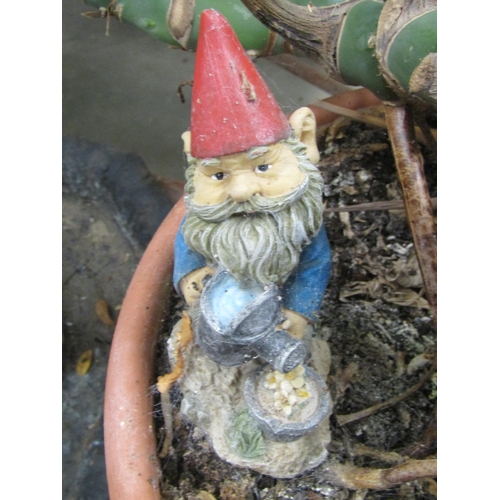 2031 - A cheese plant