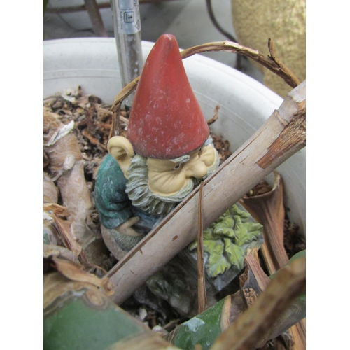 2032 - A cheese plant