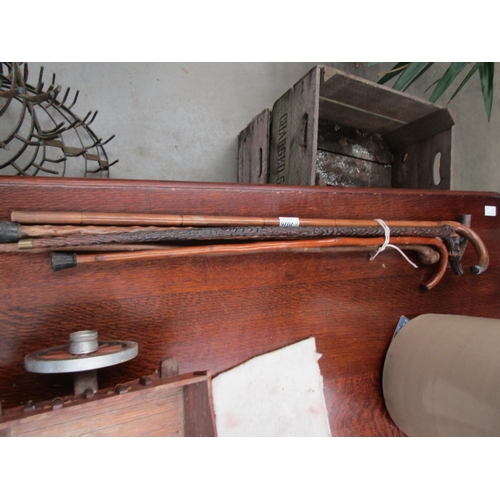 2026 - A bundle of walking sticks