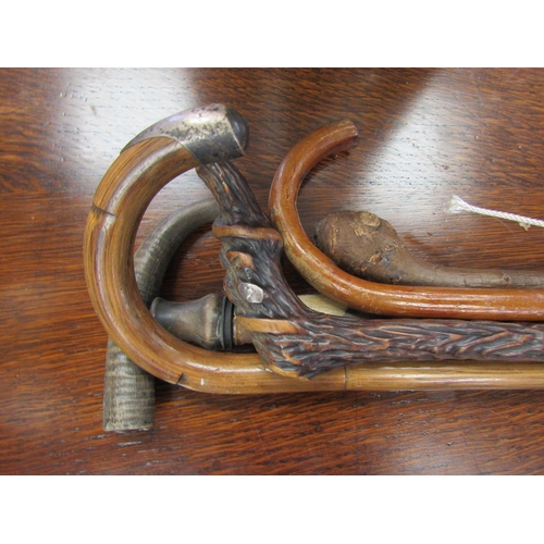 2026 - A bundle of walking sticks