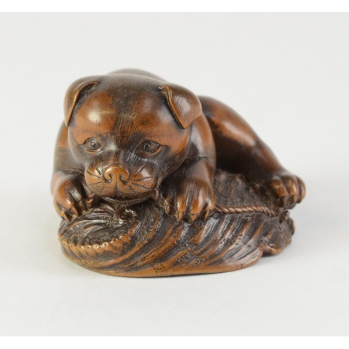 9055 - MASANAO- a carved wooden netsuke of a dog gnawing on a shell, signed to shell, a/f

4cm wide, 4.5cm ... 
