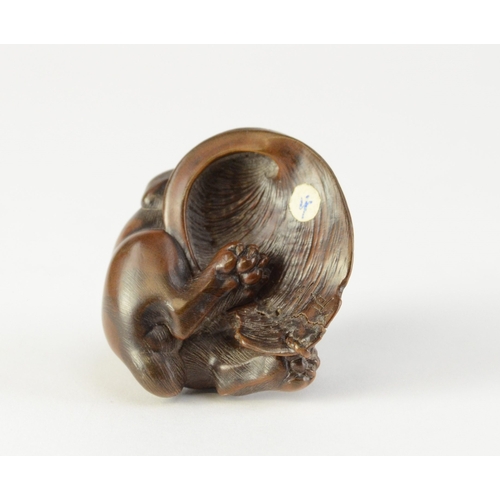 9055 - MASANAO- a carved wooden netsuke of a dog gnawing on a shell, signed to shell, a/f

4cm wide, 4.5cm ... 