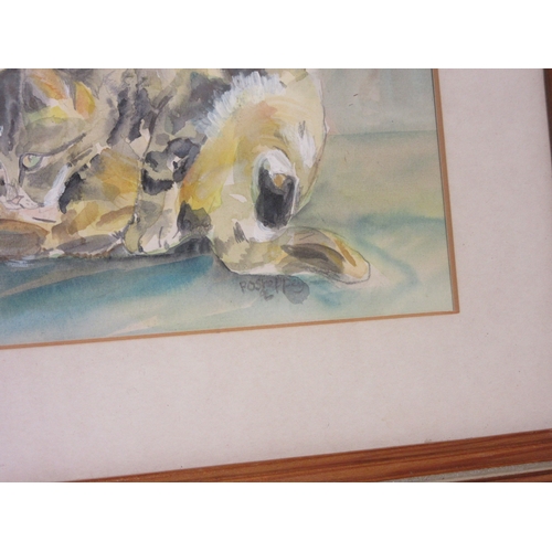 1279 - Two watercolours - P O Sheppey of a cat titled 