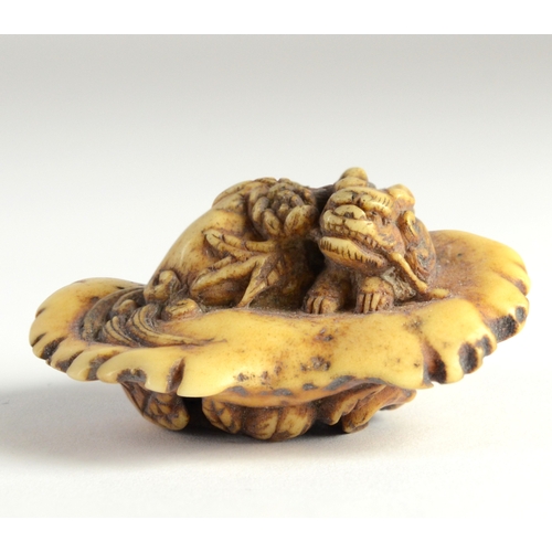 9037 - A manju stag horn netsuke of a dragon reclining on a platform, carved beneath with flowers

4.5cm wi... 