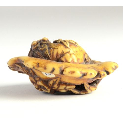 9037 - A manju stag horn netsuke of a dragon reclining on a platform, carved beneath with flowers

4.5cm wi... 