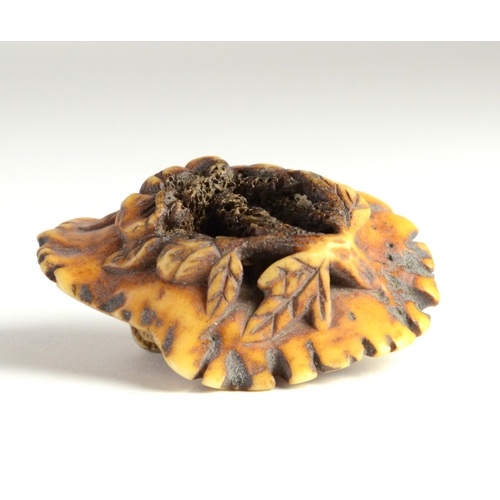 9037 - A manju stag horn netsuke of a dragon reclining on a platform, carved beneath with flowers

4.5cm wi... 