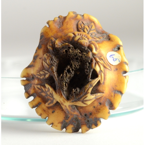 9037 - A manju stag horn netsuke of a dragon reclining on a platform, carved beneath with flowers

4.5cm wi... 