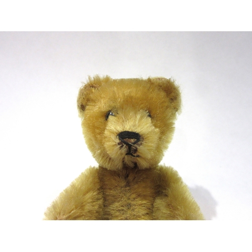 8053 - An early 20th Century Schuco golden mohair jointed Teddy Bear scent bottle, head removing to reveal ... 
