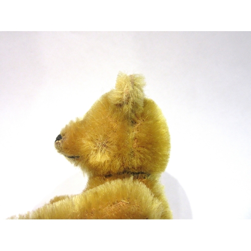 8053 - An early 20th Century Schuco golden mohair jointed Teddy Bear scent bottle, head removing to reveal ... 