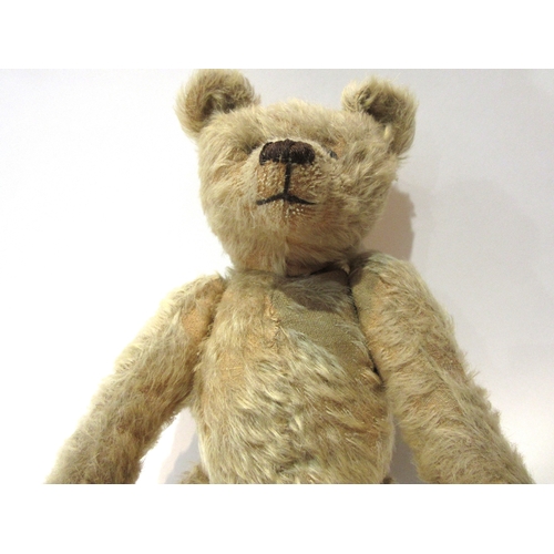 Attributed to Steiff: An early 20th Century golden mohair jointed teddy ...