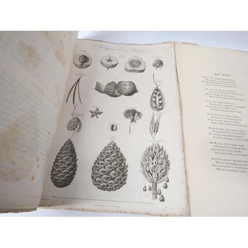 5449 - John Thornton: 'New Illustration of the Sexual System of Linnaeus.', Three fascicles, numbered six t... 