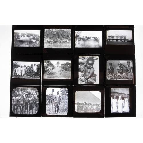 Lot 7026      