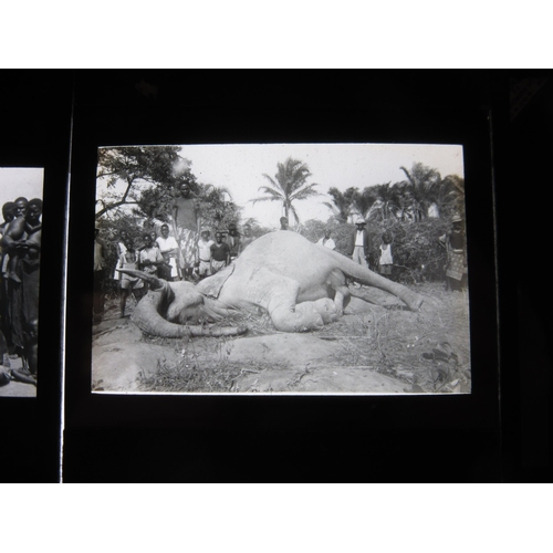 7026 - (Africa, Middle East, British Colonies, Congo, Sierra Leone, Egypt) A collection of approximately 28... 